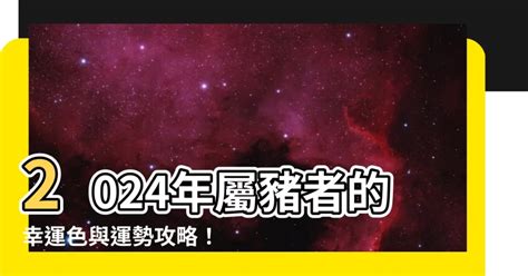 屬豬終身幸運色|2024豬年開運色速查